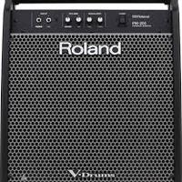 Amplificatore Per Batterie Elettriche ROLAND PM200