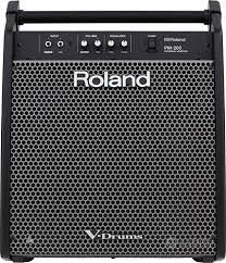 Amplificatore Per Batterie Elettriche ROLAND PM200