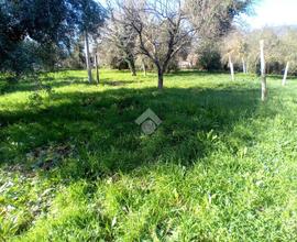 TER. RESIDENZIALE A TERNI