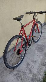 MTB Trek 6000
