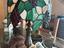 Immagine 4