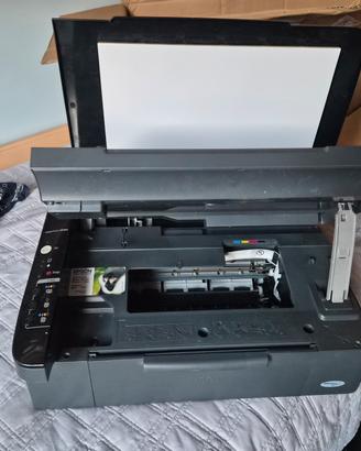 stampante Epson stylus