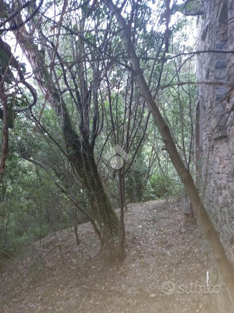RUSTICO A CARASCO - Vista 5