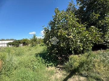 TER. AGRICOLO A BACOLI