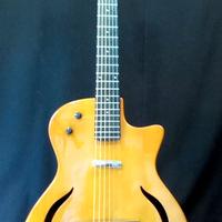 Harley Benton Hybrid steel NT