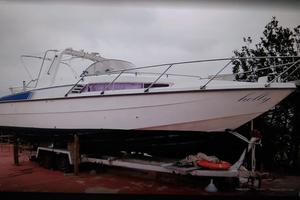 Semicabinato con due motori volvo penta