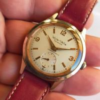 orologio Wiler vetta impermeabile cassa monoblocco