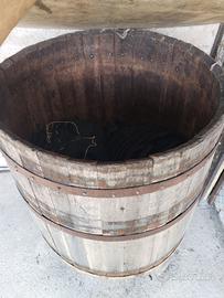 Tino per maturazione uva + torchio prezzo trattabi