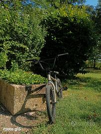Bmx con peg 