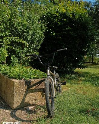 Bmx con peg 