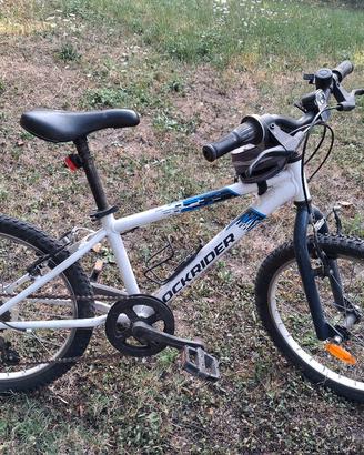 Bicicletta Bambino/a 20 Pollici
