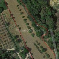 Terreno agricolo Ccomune di San Gimignano