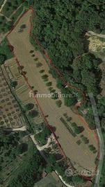 Terreno agricolo Ccomune di San Gimignano