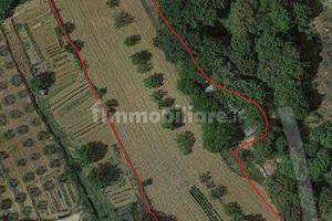 Terreno agricolo Ccomune di San Gimignano