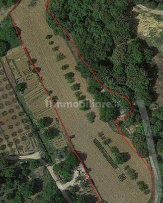 Terreno agricolo Ccomune di San Gimignano