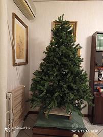 Albero di natale