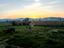 Immagine 23