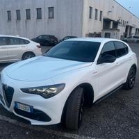 Stelvio  2.2 Turbodiesel 210 CV AT8 Q4 Veloce