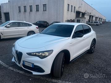 Stelvio  2.2 Turbodiesel 210 CV AT8 Q4 Veloce