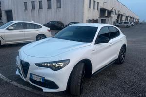 Stelvio  2.2 Turbodiesel 210 CV AT8 Q4 Veloce