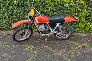 Aspes hopi 125