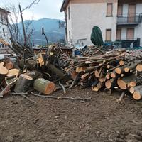 legna da ardere