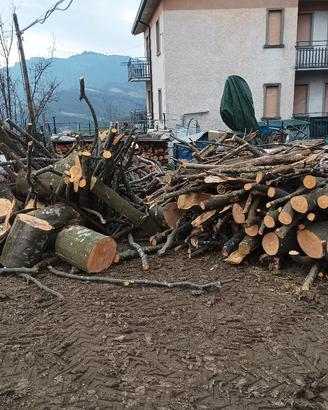 legna da ardere
