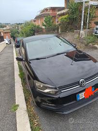 Polo ww