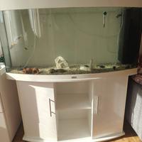 acquario 260L