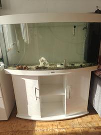 acquario 260L