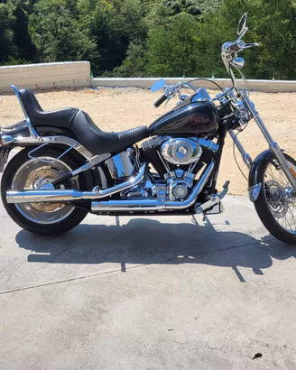Harley -Davidson