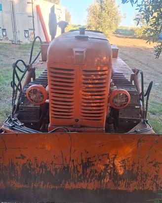 fiat 25 cingolato con lama