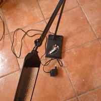 Lampada da scrivania Neon