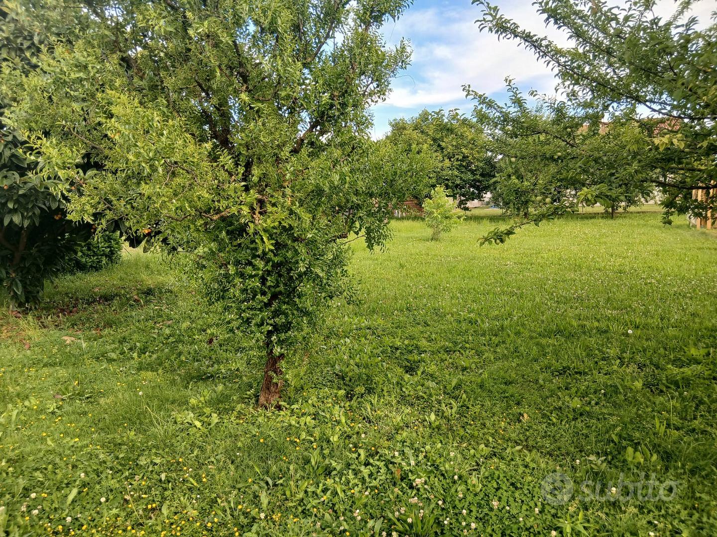 Rustico + terreno edificabile - View 4
