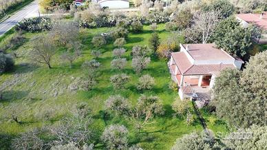 Indipendente con agibilità e 6000 mq di giardino