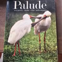 palude incanto della vita selvaggia
