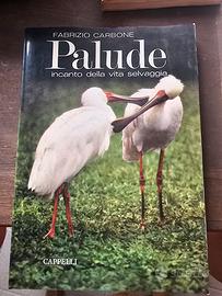 palude incanto della vita selvaggia