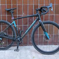 Specialized Diverge expert carbonio