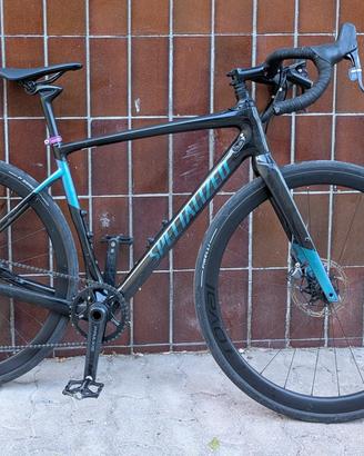 Specialized Diverge expert carbonio