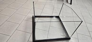 terraio per rettili