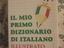 Immagine 1