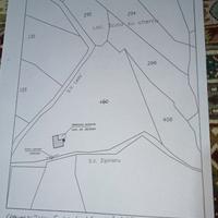 Terreno Tissi 5000 mq x fotovoltaico