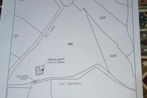 Terreno Tissi 5000 mq x fotovoltaico