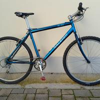 mountain bike Raleigh anni 90