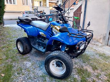 Polaris Trail Boss 330 2x4 