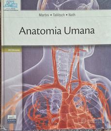 martini anatomia  piu alfa test 