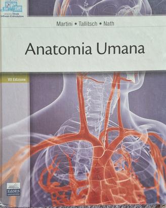 martini anatomia  piu alfa test 