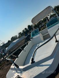 Gobbi 5,5 m con carrello