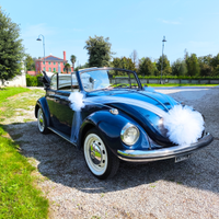 Noleggio Maggiolino Cabriolet