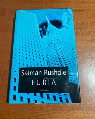 Romanzo:” Furia”